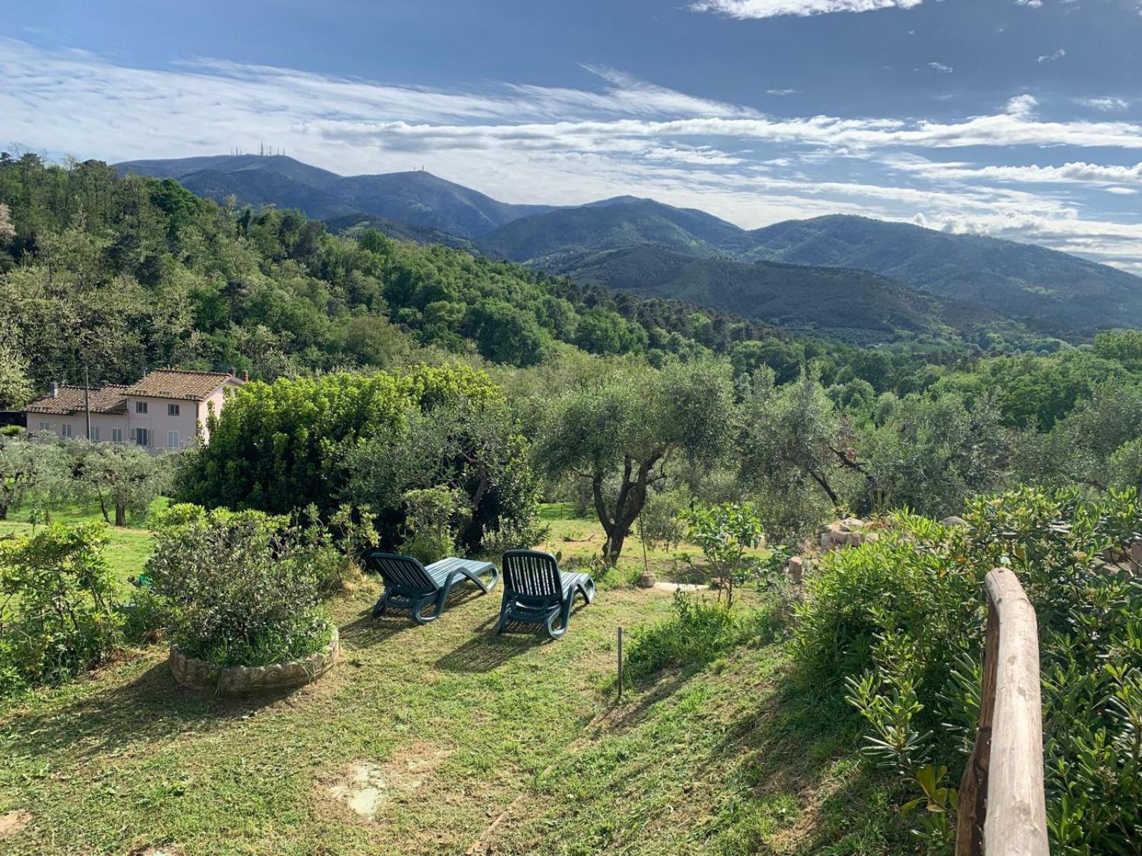 La Capanna Di Arturo Piano Terra Capannori Exterior foto
